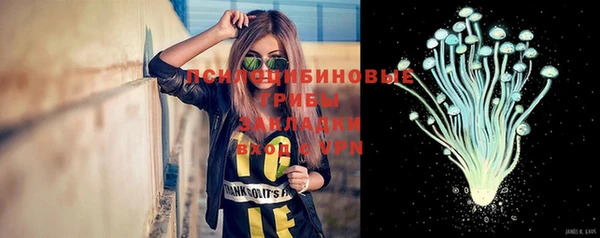 индика Орск