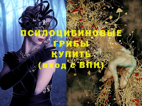 бутират Алексеевка