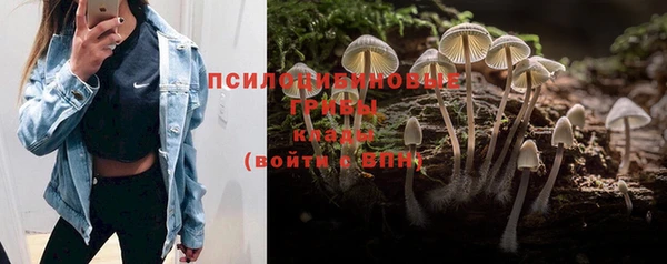 бутират Алексеевка