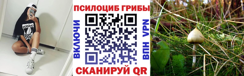 дарк нет какой сайт  Анива  Галлюциногенные грибы Psilocybe  МЕГА ссылка 